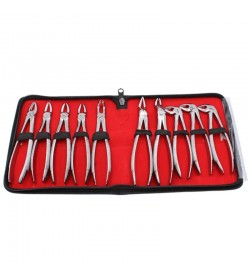 10 Pcs Extraction Forceps Set